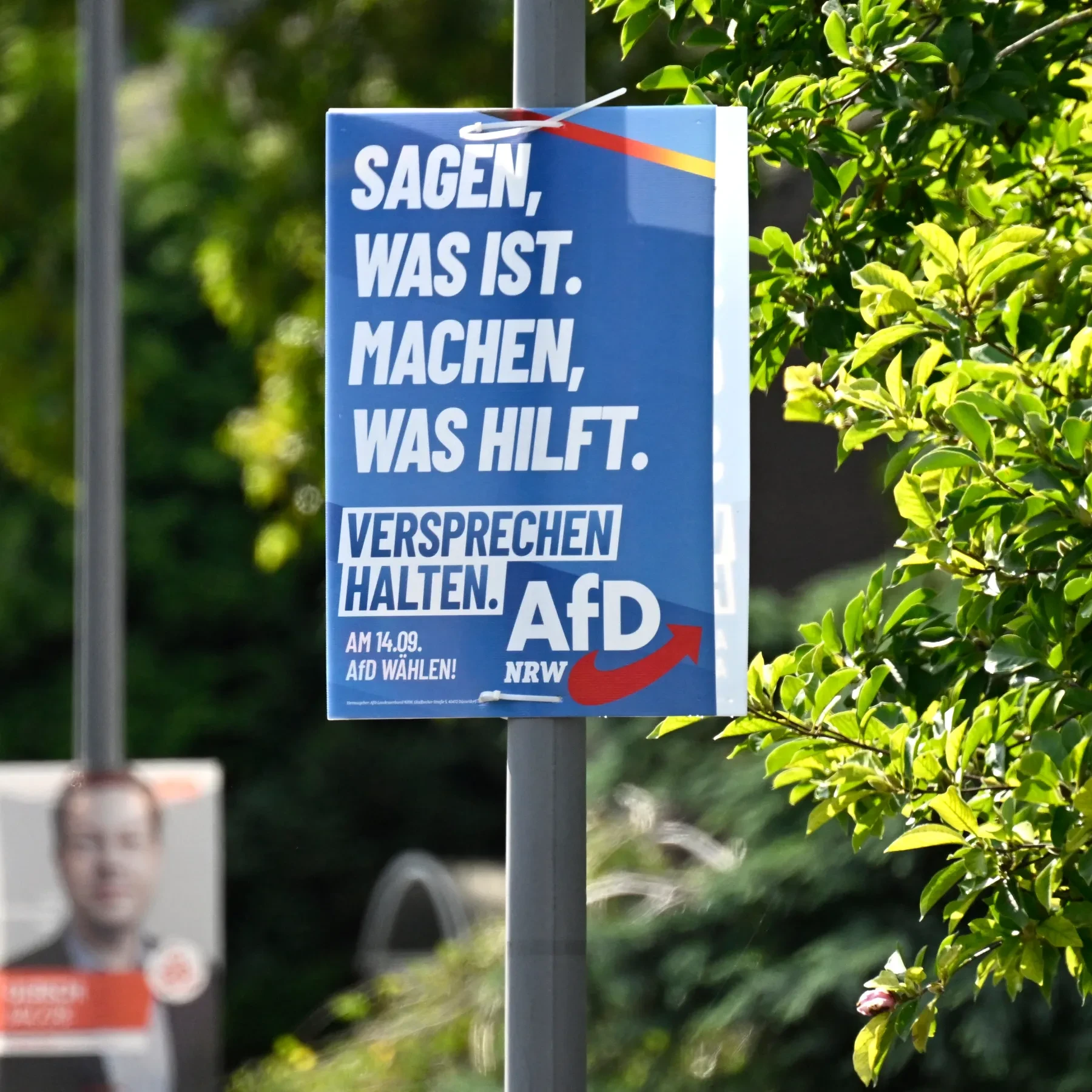 Sagen, was ist.