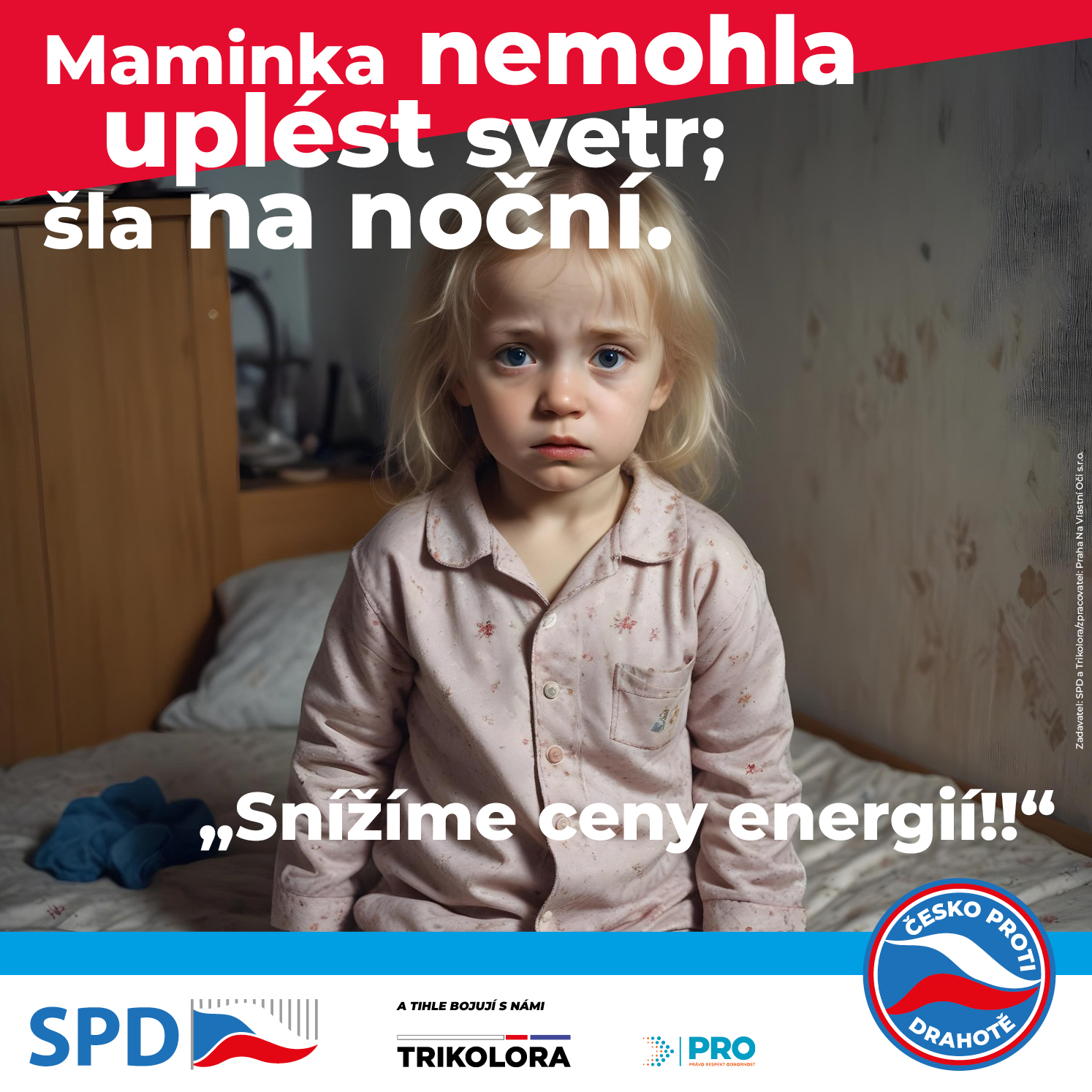 Svetr